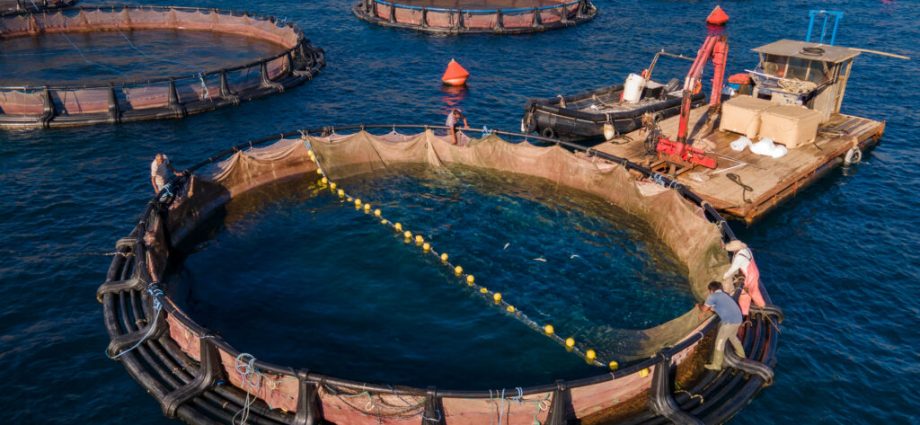 greeks-challenge-eu-backed-fish-farms-amid-environmental-concerns