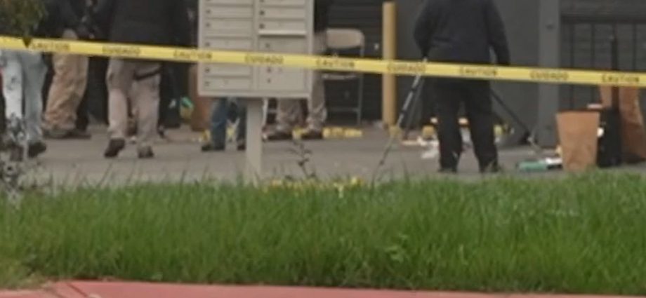 police-seek-suspects-in-deadly-birthday-party-shooting