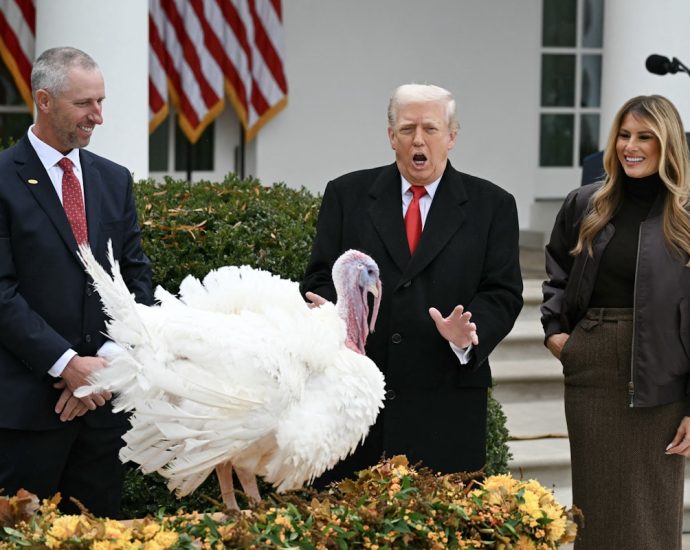 the-reality-behind-the-traitor’s-wild-claims-about-turkey-prices