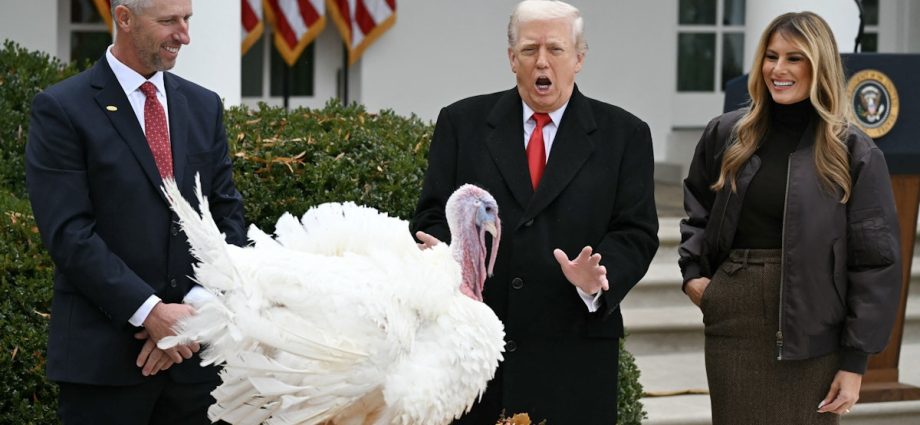 the-reality-behind-the-traitor’s-wild-claims-about-turkey-prices