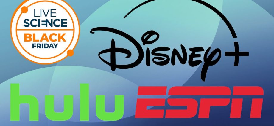 These Disney+, Hulu and ESPN Black Friday streaming bundles will have you fighting over the remote this festive season