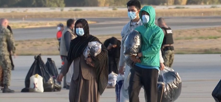 the-traitor-vows-to-pause-migration-from-“third-world-countries”-after-fatal-national-guard-shooting