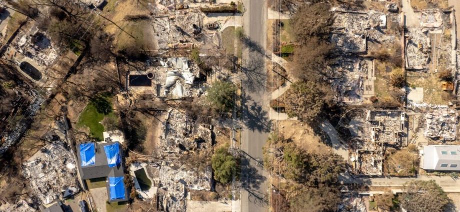california-utilities-try-ai-to-combat-costly-wildfire-liabilities