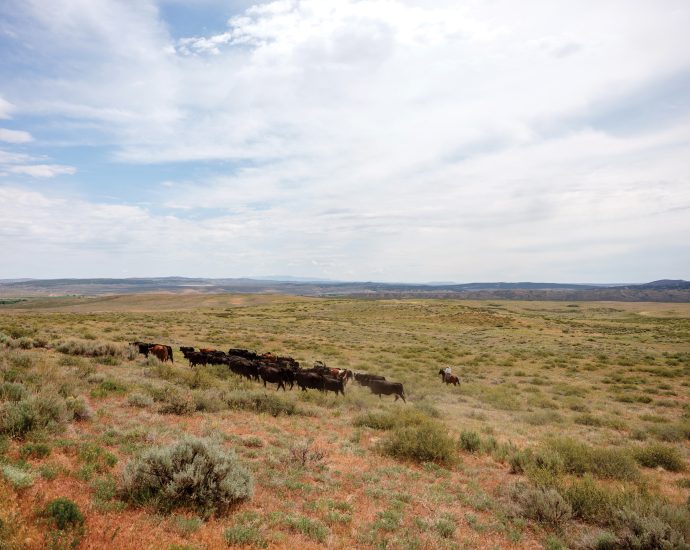 the-wealthy-profit-from-public-lands,-and-taxpayers-pick-up-the-tab