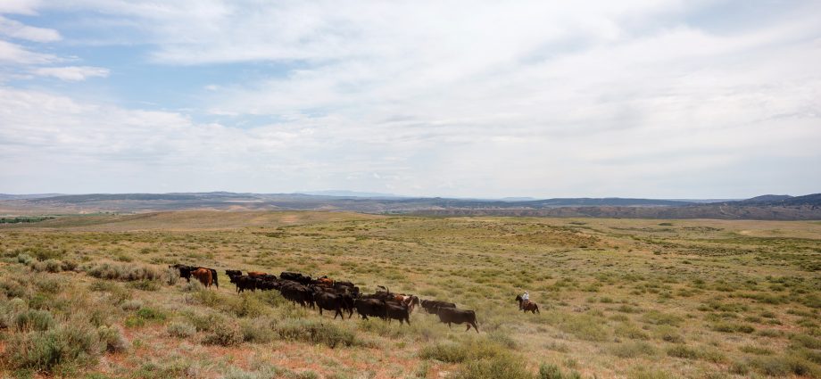 the-wealthy-profit-from-public-lands,-and-taxpayers-pick-up-the-tab