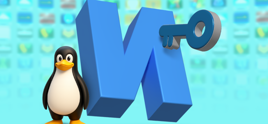 Don’t set up Linux from scratch, these Turnkey distros do it for you