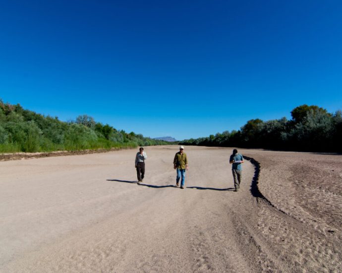 what-the-rio-grande’s-more-frequent-dry-outs-mean-for-the-region’s-animals-and-ecosystems