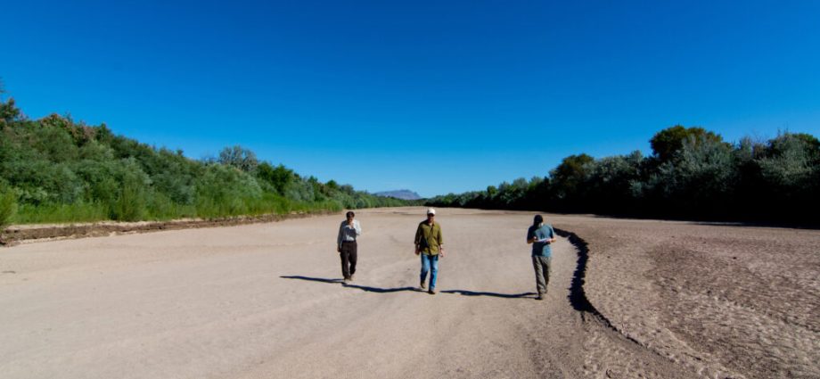 what-the-rio-grande’s-more-frequent-dry-outs-mean-for-the-region’s-animals-and-ecosystems