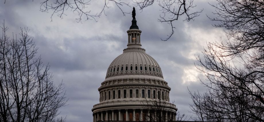 doge-isn’t-dead.-here’s-what-its-operatives-are-doing-now