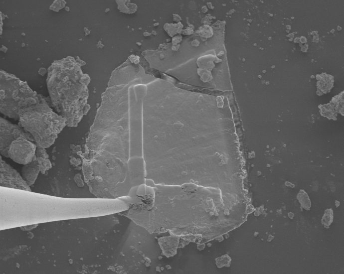 sugars,-‘gum,’-stardust-found-in-nasa’s-asteroid-bennu-samples