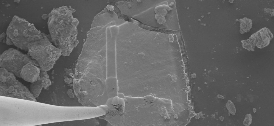 sugars,-‘gum,’-stardust-found-in-nasa’s-asteroid-bennu-samples