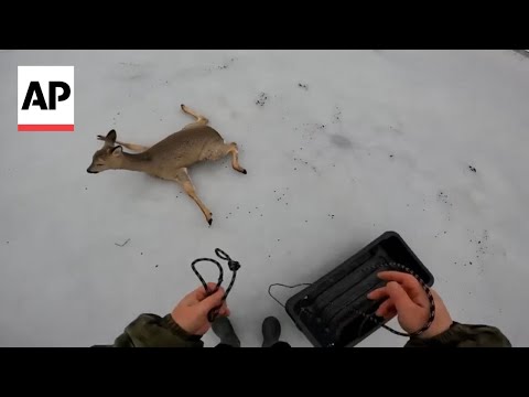 fisherman-saves-stranded-deer-from-frozen-lake-in-russia