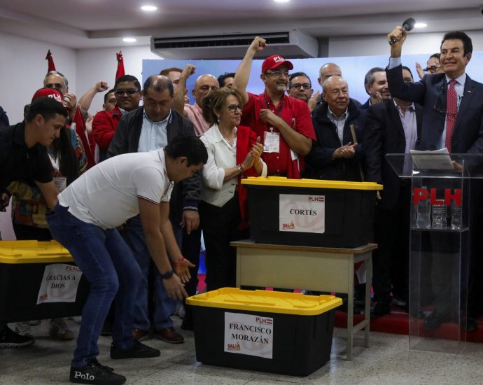 honduras-election-council-member-accuses-colleague-of-‘intimidation’