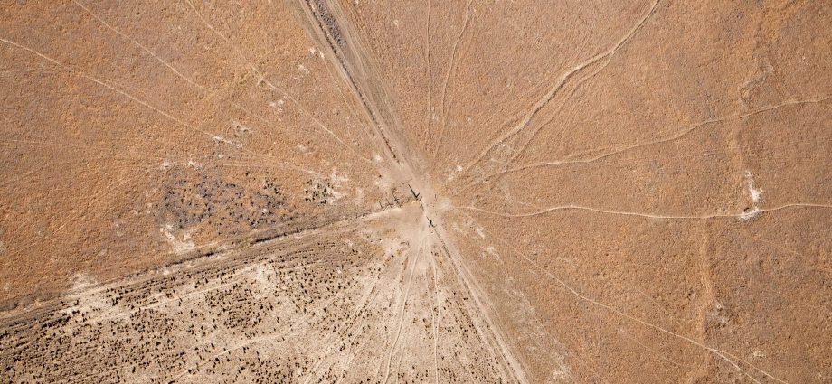 congress-made-it-easier-to-ignore-grazing’s-harm-to-public-lands