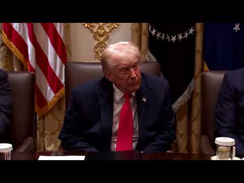 the-traitor-on-somali-immigrants:-‘their-country-stinks,-we-don’t-want-them’-|-reuters