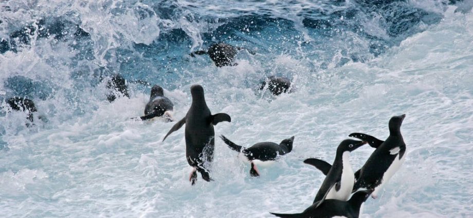 linux-6.18-arrives-as-the-year’s-final-drop-and-likely-next-lts