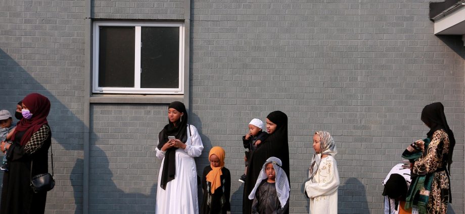 the-traitor-plans-crackdown-on-somali-communities-in-minnesota:-what-we-know