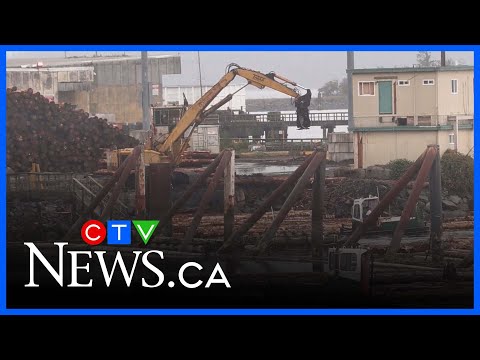 bc.-pulp-mill-closure-to-leave-350-out-of-work,-company-says