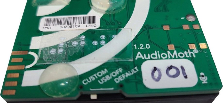 eclipse-soundscapes-volunteers-still-engaged-in-scientific-discovery-post-eclipse