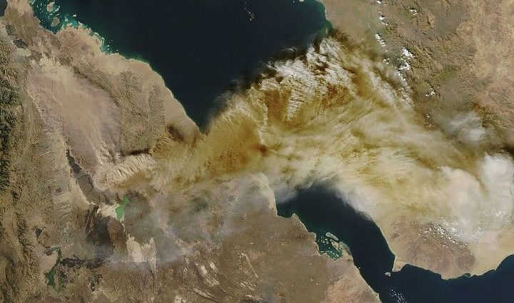 hayli-gubbi’s-explosive-first-impression