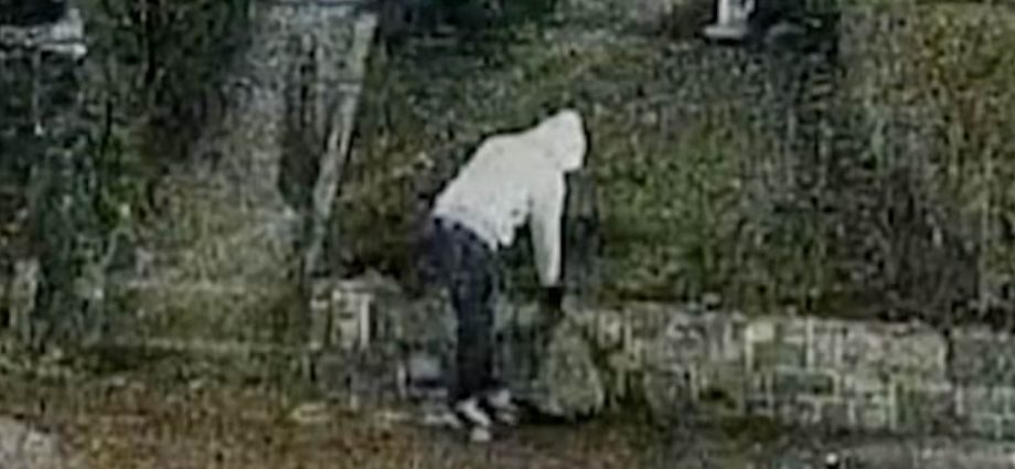 suspect-arrested-in-january-2021-dc.-pipe-bomb-case