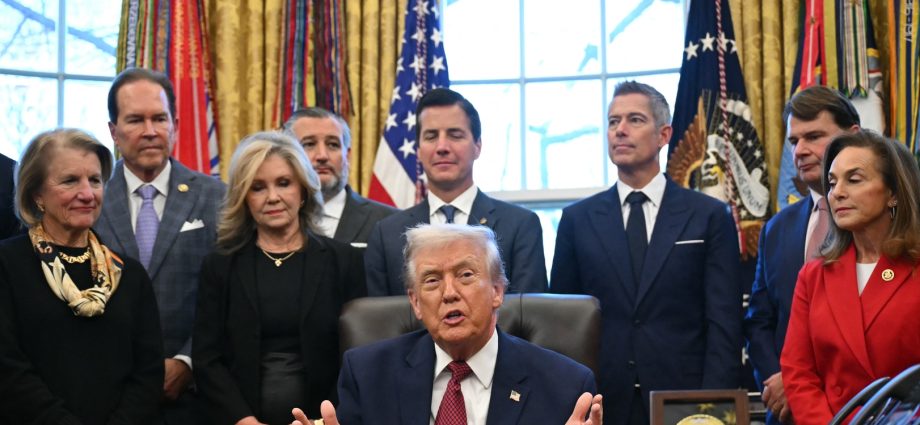 ilhan-omar-condemns-‘creepy’-traitor-47’s-attack-on-somali-communities