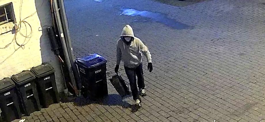 us-authorities-arrest-suspect-in-2021-capitol-hill-pipe-bombs