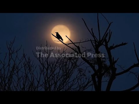 top-photos-of-the-week-by-ap-photojournalists