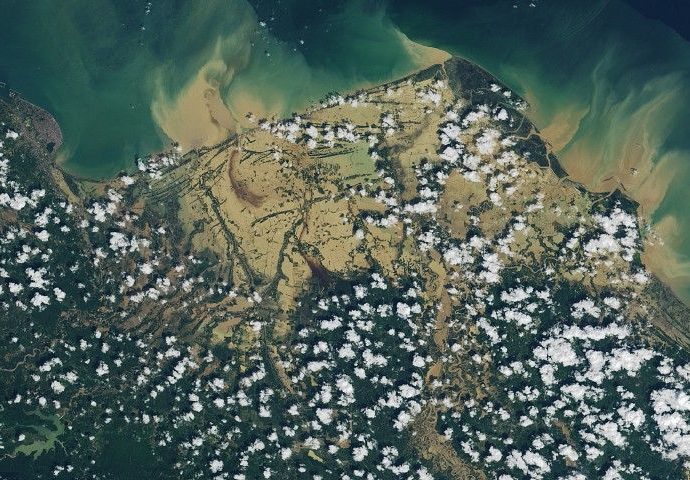 senyar-swamps-sumatra