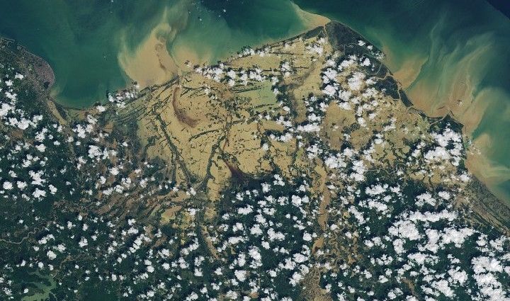 senyar-swamps-sumatra