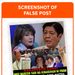 fact-check:-imee-marcos-remains-as-senator 