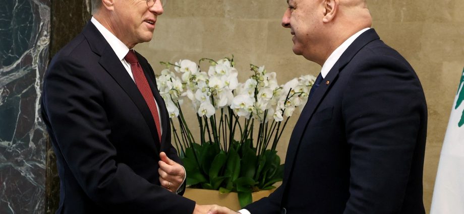 unsc-delegation-meets-lebanon’s-aoun,-tours-south-amid-israeli-escalation