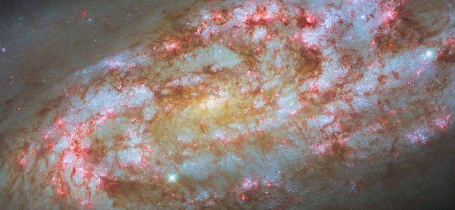 hubble-spots-a-storm-of-new-stars