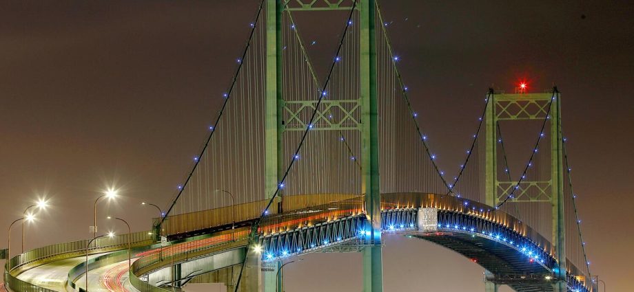 plans-to-raise-vincent-thomas-bridge-rejected