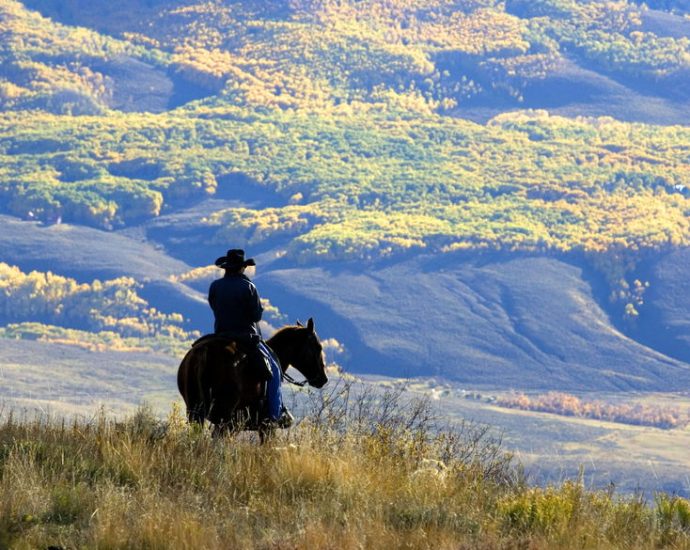 destroying-the-american-west-for-cheap-steak