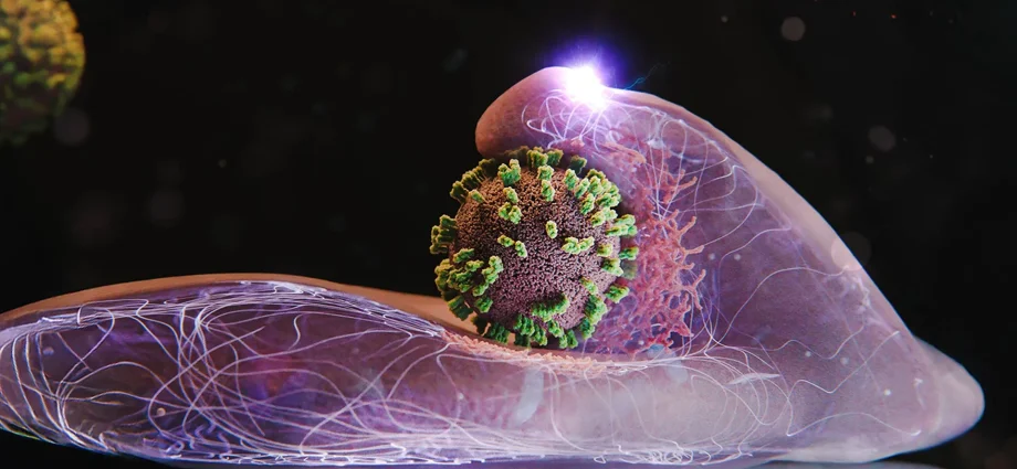 scientists-capture-flu-viruses-surfing-into-human-cells-in-real-time