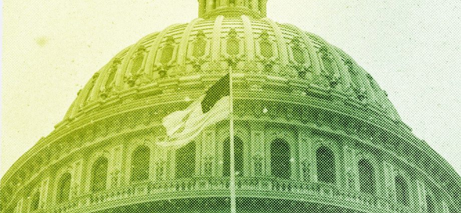 wired-roundup:-doge-isn’t-dead,-facebook-dating-is-real,-and-amazon’s-ai-ambitions