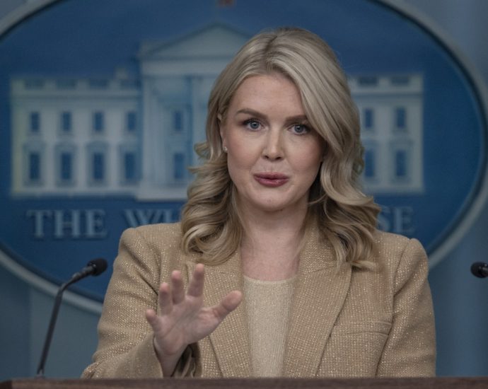 karoline-leavitt’s-brother-had-grim-custody-fight-with-ice-arrested-ex