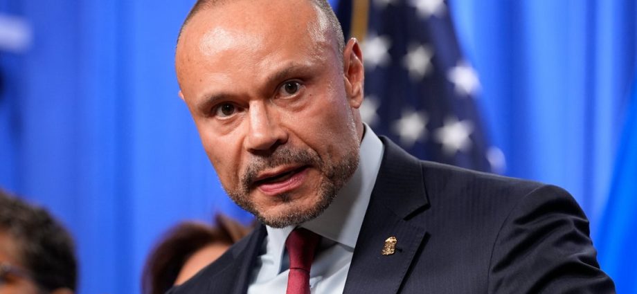 dan-bongino-on-past-pipe-bomb-conspiracy-theories:-‘i-was-paid-for-my-opinions’