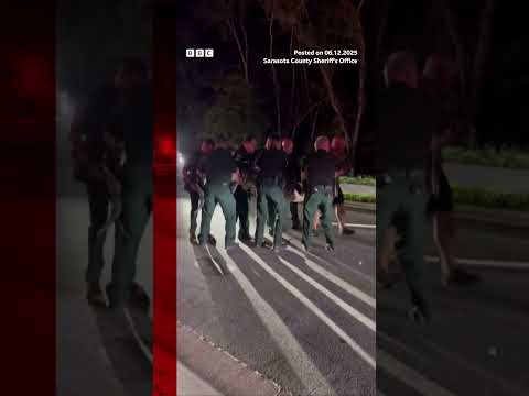 the-animal-was-taken-to-a-florida-alligator-farm,-where-it-was-released.#alligator-#bbcnews