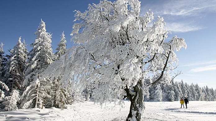 is-the-winter-of-the-century-coming?-experts-see-chance-of-arctic-cold-spells