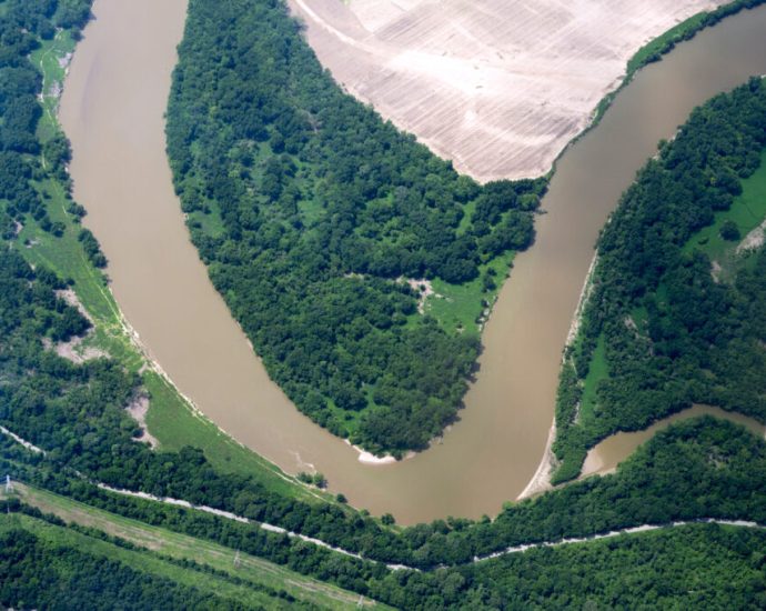 forestry-carbon-credit-programs-have-a-poor-track-record.-can-a-more-refined-approach-fix-the-problem?