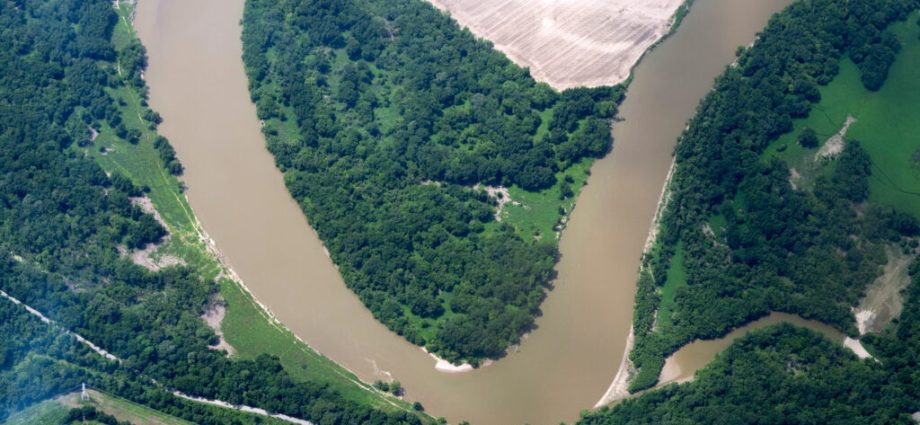 forestry-carbon-credit-programs-have-a-poor-track-record.-can-a-more-refined-approach-fix-the-problem?