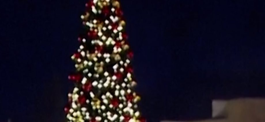 bethlehem-lit-tree-for-first-time-since-start-of-war