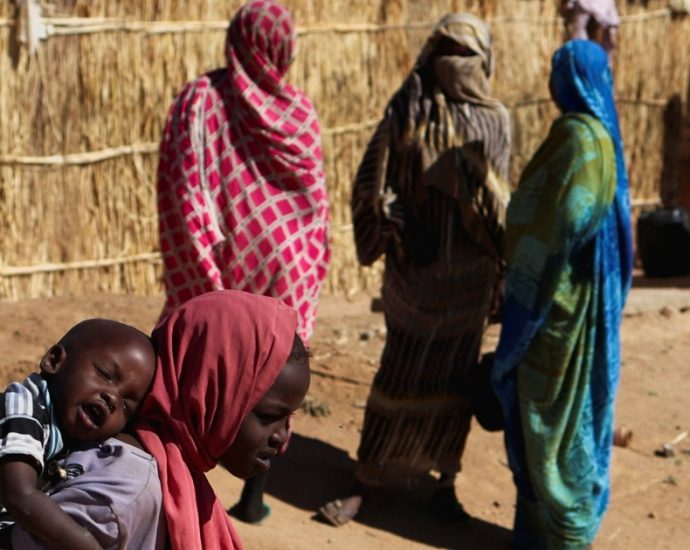 sudan-group-accuses-rsf-of-raping-19-women-who-fled-el-fasher