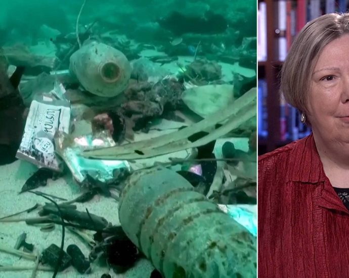 “the-problem-with-plastic”:-former-epa-official-on-how-to-save-the-planet-before-it’s-too-late