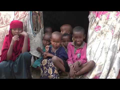 somalia-drought-displaces-families-as-un-environment-assembly-opens-|-reuters