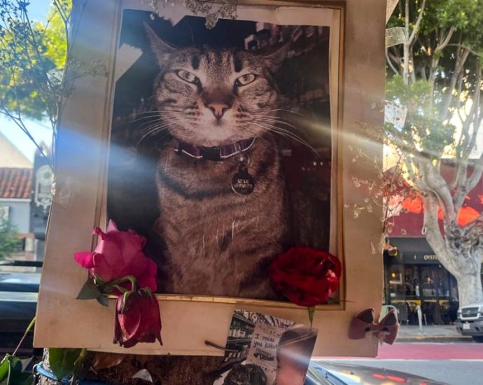 waymo-runs-into-safety-concerns-and-competition-as-it-expands-in-the-us