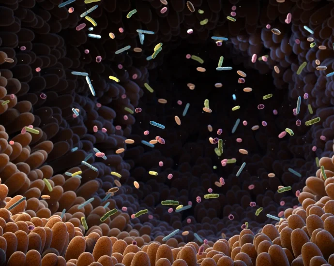 gut-molecule-shows-remarkable-anti-diabetes-power