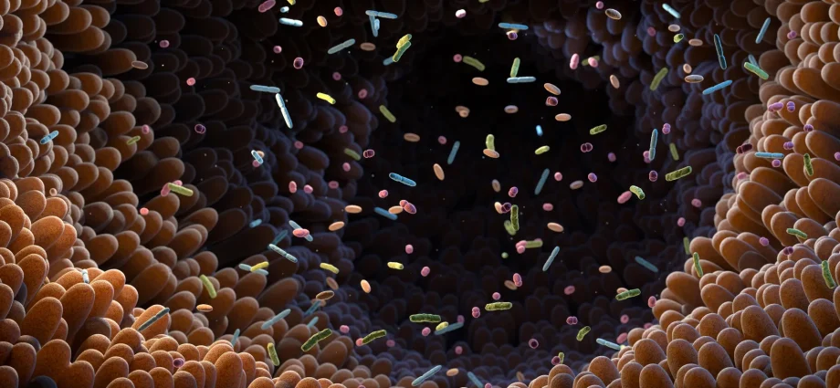 gut-molecule-shows-remarkable-anti-diabetes-power